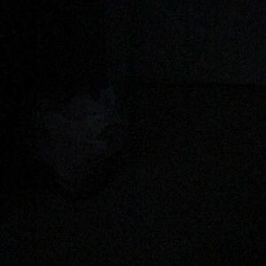 Meet your Posher, Demi